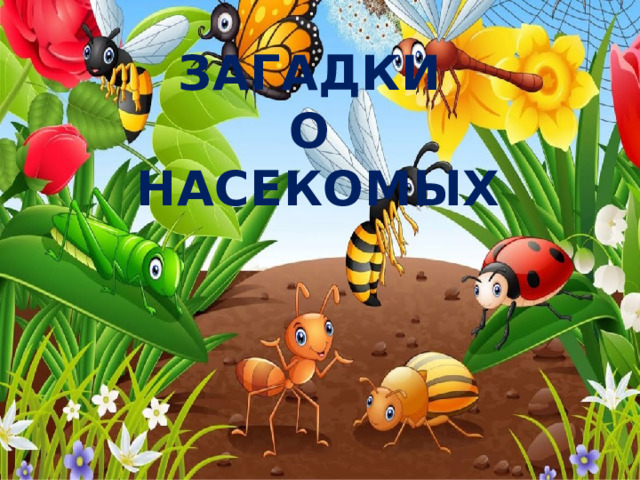 ЗАГАДКИ О НАСЕКОМЫХ