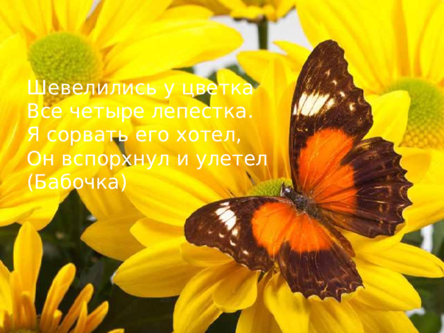 Шевелились у цветка Все четыре лепестка. Я сорвать его хотел, Он вспорхнул и улетел (Бабочка)