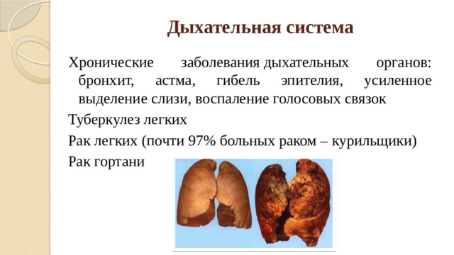 Дыхательная система Хронические заболевания дыхательных органов: бронхит, астма, гибель эпителия, усиленное выделение слизи, воспаление голосовых связок Туберкулез легких Рак легких (почти 97% больных раком – курильщики) Рак гортани