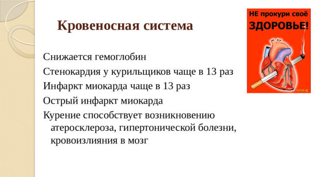 Кровеносная система Снижается гемоглобин Стенокардия у курильщиков чаще в 13 раз Инфаркт миокарда чаще в 13 раз Острый инфаркт миокарда Курение способствует возникновению атеросклероза, гипертонической болезни, кровоизлияния в мозг