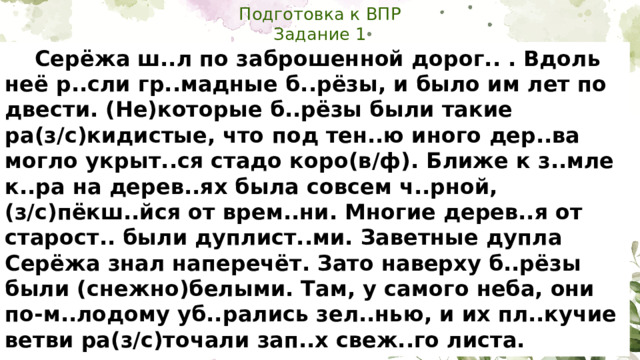Подготовка к ВПР  Задание 1  Серёжа ш..л по заброшенной дорог.. . Вдоль неё р..сли гр..мадные б..рёзы, и было им лет по двести. (Не)которые б..рёзы были такие ра(з/с)кидистые, что под тен..ю иного дер..ва могло укрыт..ся стадо коро(в/ф). Ближе к з..мле к..ра на дерев..ях была совсем ч..рной, (з/с)пёкш..йся от врем..ни. Многие дерев..я от старост.. были дуплист..ми. Заветные дупла Серёжа знал наперечёт. Зато наверху б..рёзы были (снежно)белыми. Там, у самого неба, они по-м..лодому уб..рались зел..нью, и их пл..кучие ветви ра(з/с)точали зап..х свеж..го листа.  Вскоре мальч..к вош..л в с..сновый бор и тогда см..листый жар о(б/п)дал его. Г..лова кружилась. Ему х..телось без огля(д/т)ки идти по этому светл..му бору, осв..щённому со..нцем. От ж..ры млели дерев..я и задрём..вая что(то) ш..птали вполголоса.