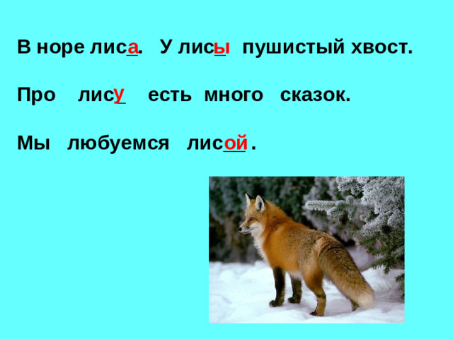 В норе лис_. У лис_ пушистый хвост.  Про лис_ есть много сказок.  Мы любуемся лис__ . а ы у ой