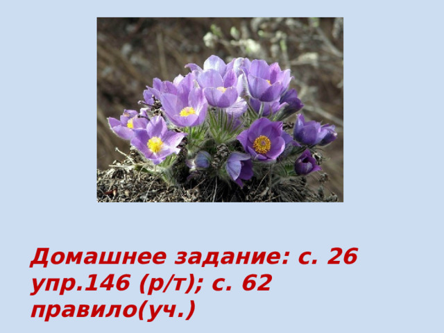 Домашнее задание: с. 26 упр.146 (р/т); с. 62 правило(уч.)