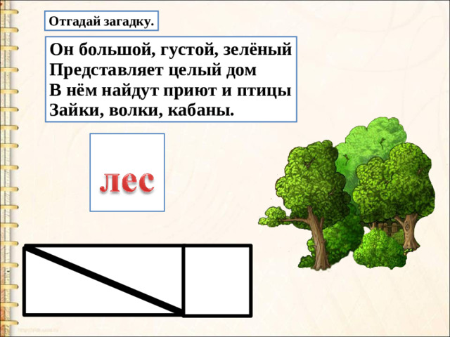 Отгадай загадку. Он большой, густой, зелёный Представляет целый дом В нём найдут приют и птицы Зайки, волки, кабаны.