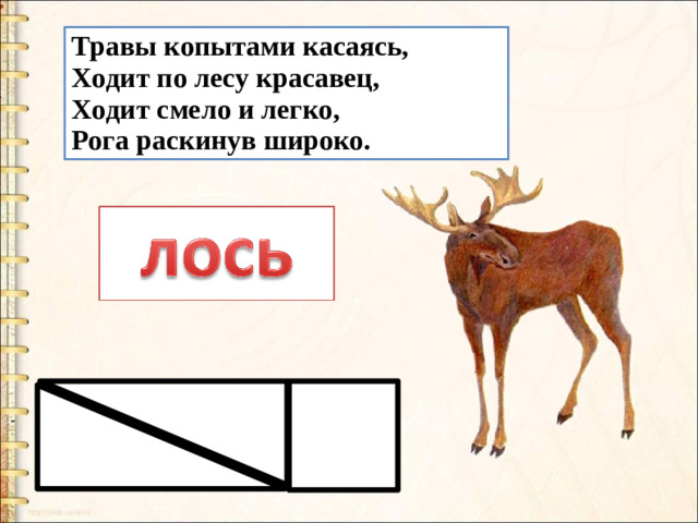 Травы копытами касаясь,  Ходит по лесу красавец,  Ходит смело и легко,  Рога раскинув широко.