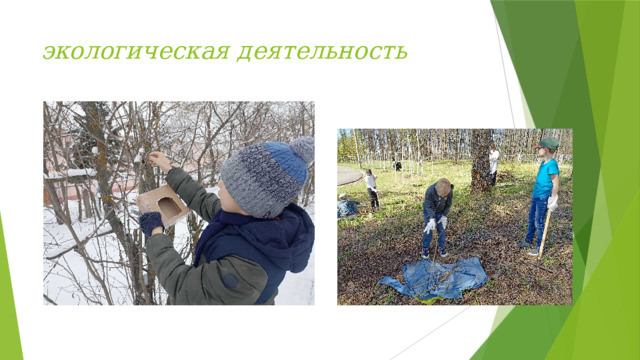 экологическая деятельность