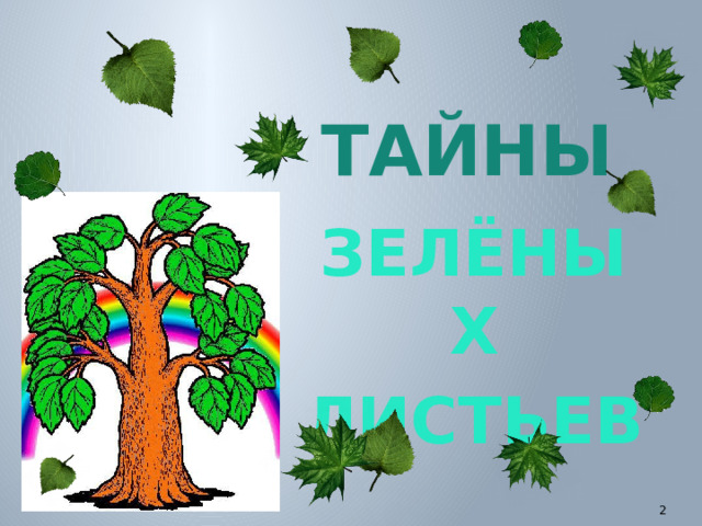 ТАЙНЫ ЗЕЛЁНЫХ ЛИСТЬЕВ