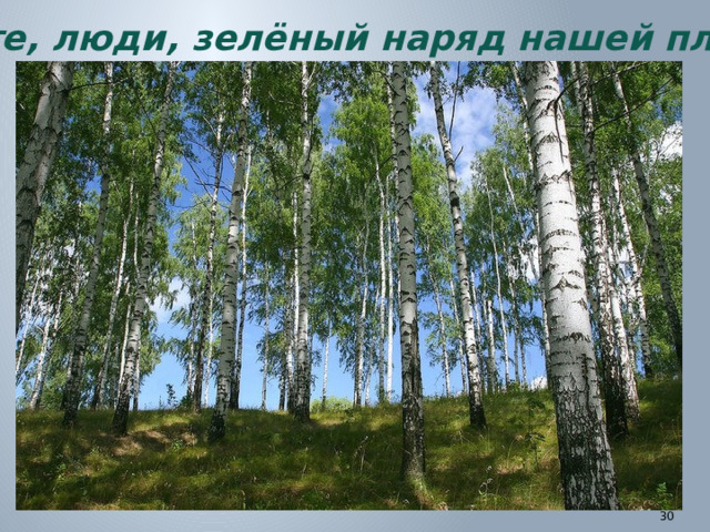 Берегите, люди, зелёный наряд нашей планеты!