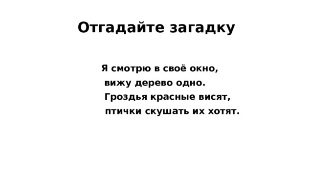 Отгадайте загадку   Я смотрю в своё окно, вижу дерево одно.  Гроздья красные висят,  птички скушать их хотят.  