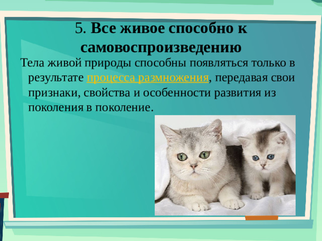 5. Все живое способно к самовоспроизведению Тела живой природы способны появляться только в результате процесса размножения , передавая свои признаки, свойства и особенности развития из поколения в поколение.