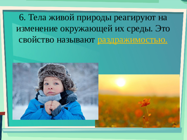 6. Тела живой природы реагируют на изменение окружающей их среды. Это свойство называют раздражимостью.