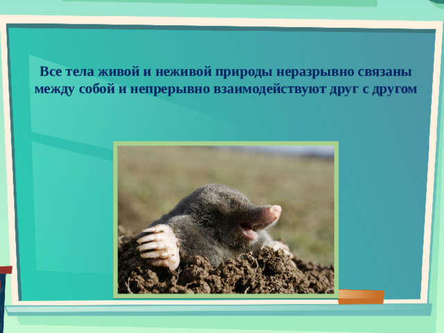 Все тела живой и неживой природы неразрывно связаны между собой и непрерывно взаимодействуют друг с другом