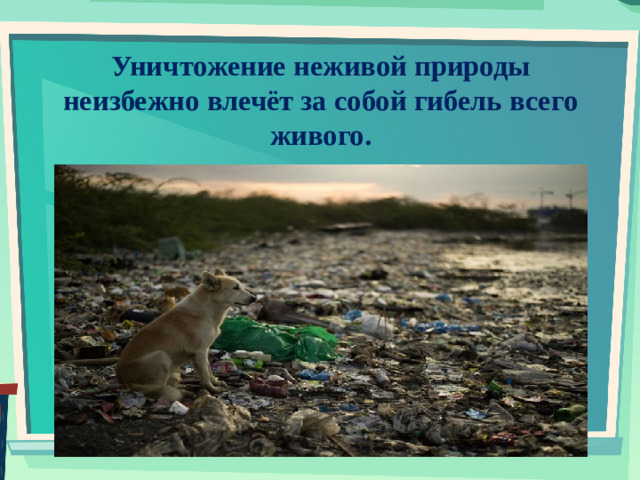 Уничтожение неживой природы неизбежно влечёт за собой гибель всего живого.
