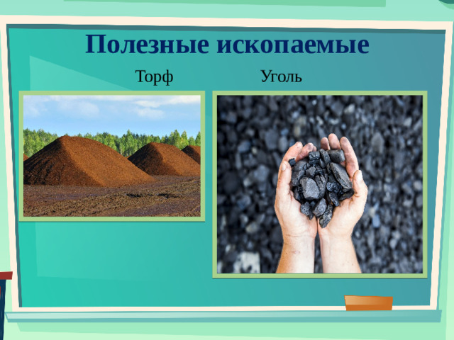 Полезные ископаемые Торф     Уголь