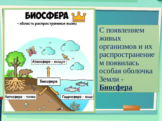 С появлением живых организмов и их распространением появилась особая оболочка Земли - Биосфера