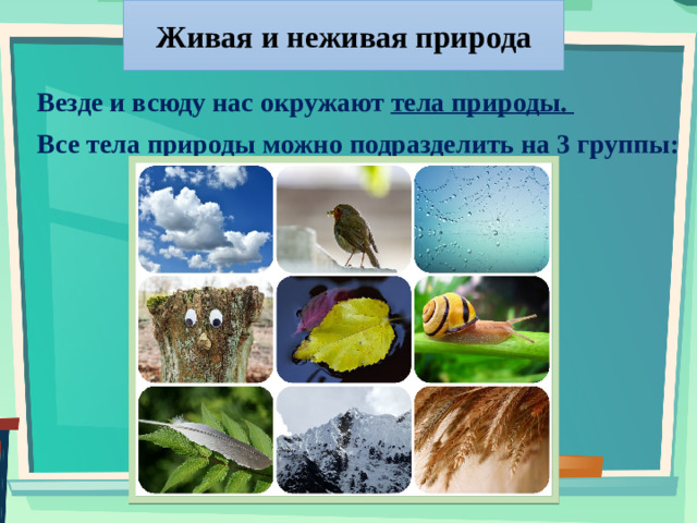 Живая и неживая природа Везде и всюду нас окружают тела природы.  Все тела природы можно подразделить на 3 группы: