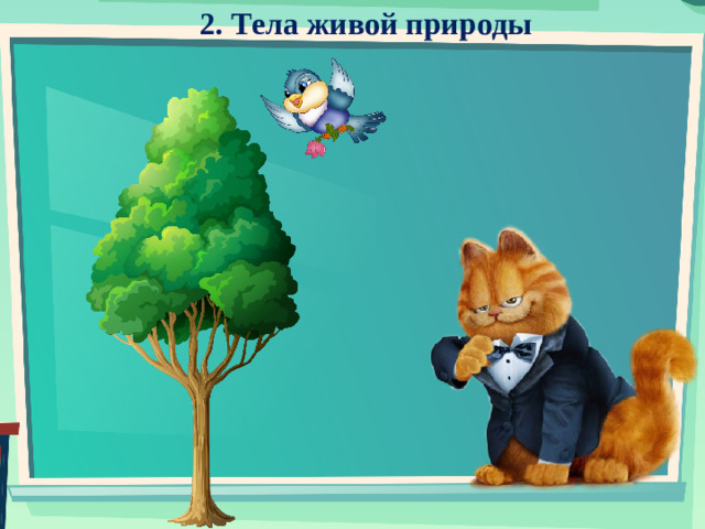 2. Тела живой природы