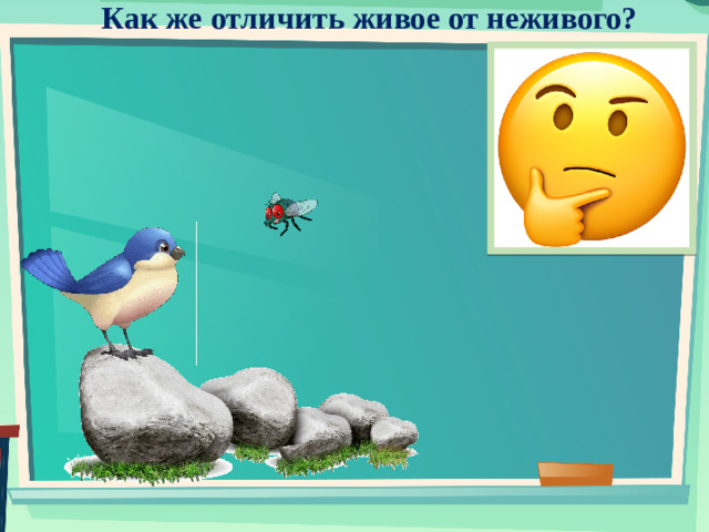 Как же отличить живое от неживого?