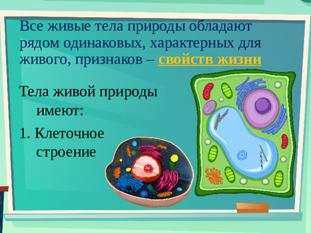 Все живые тела природы обладают рядом одинаковых, характерных для живого, признаков – свойств жизни Тела живой природы имеют: 1. Клеточное строение