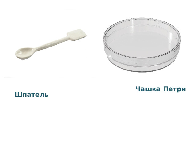 Шпатель Чашка Петри