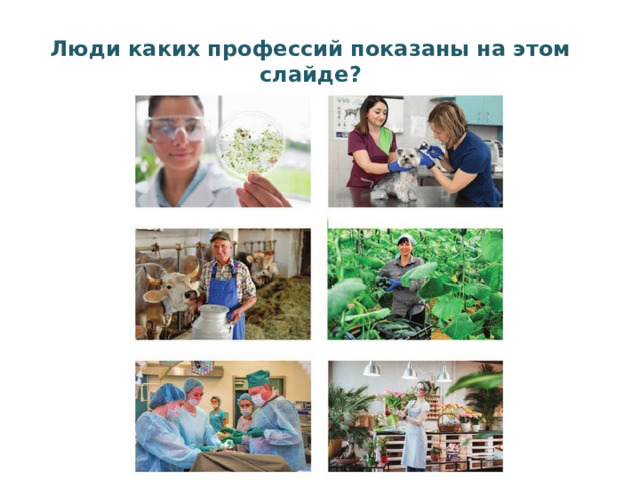 Люди каких профессий показаны на этом слайде?