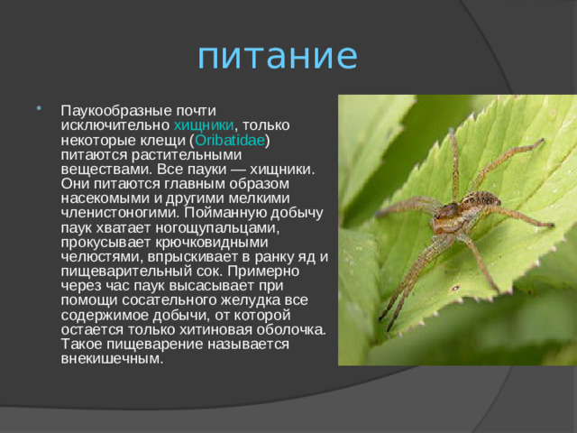 питание