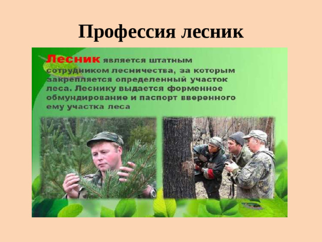 Профессия лесник