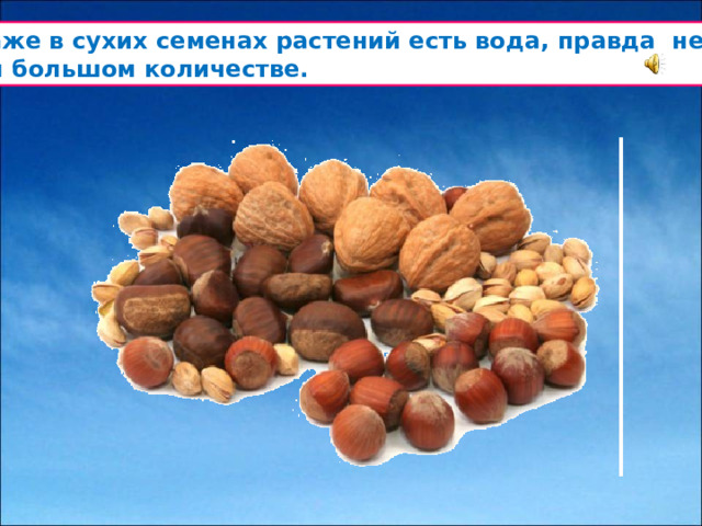 Но даже в сухих семенах растений есть вода, правда не в таком большом количестве.