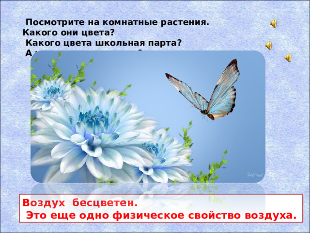 Посмотрите на комнатные растения. Какого они цвета?  Какого цвета школьная парта?  А какого цвета воздух? Воздух бесцветен.  Это еще одно физическое свойство воздуха.