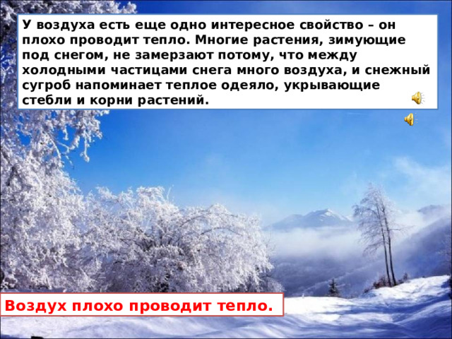 У воздуха есть еще одно интересное свойство – он плохо проводит тепло. Многие растения, зимующие под снегом, не замерзают потому, что между холодными частицами снега много воздуха, и снежный сугроб напоминает теплое одеяло, укрывающие стебли и корни растений. Воздух плохо проводит тепло.