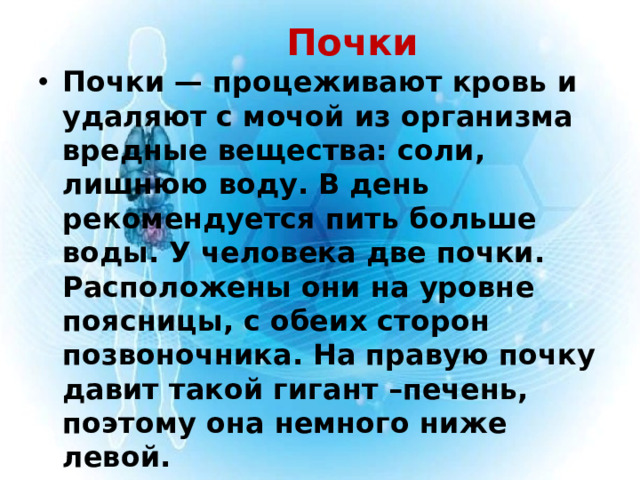 Почки