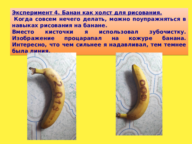 Эксперимент 4. Банан как холст для рисования.   Когда совсем нечего делать, можно поупражняться в навыках рисования на банане. Вместо кисточки я использовал зубочистку. Изображение процарапал на кожуре банана. Интересно, что чем сильнее я надавливал, тем темнее была линия.