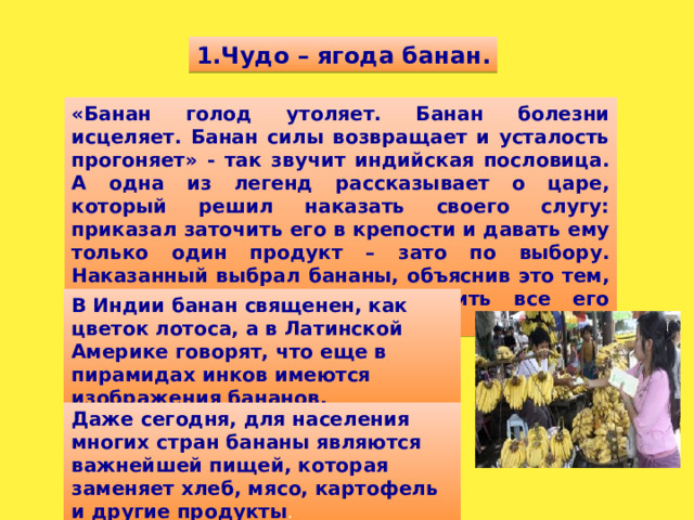 1.Чудо – ягода банан. «Банан голод утоляет. Банан болезни исцеляет. Банан силы возвращает и усталость прогоняет» - так звучит индийская пословица. А одна из легенд рассказывает о царе, который решил наказать своего слугу: приказал заточить его в крепости и давать ему только один продукт – зато по выбору. Наказанный выбрал бананы, объяснив это тем, что они способны удовлетворить все его потребности. В Индии банан священен, как цветок лотоса, а в Латинской Америке говорят, что еще в пирамидах инков имеются изображения бананов. Даже сегодня, для населения многих стран бананы являются важнейшей пищей, которая заменяет хлеб, мясо, картофель и другие продукты .