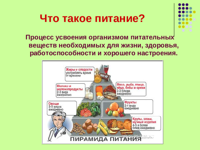 Что такое питание? Процесс усвоения организмом питательных веществ необходимых для жизни, здоровья, работоспособности и хорошего настроения.