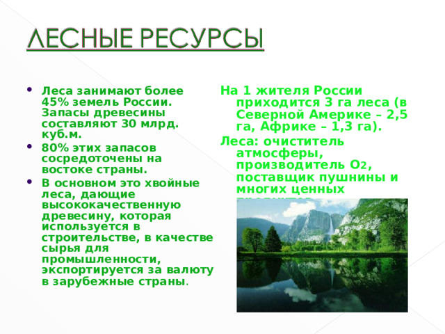 На 1 жителя России приходится 3 га леса (в Северной Америке – 2,5 га, Африке – 1,3 га). Леса: очиститель атмосферы, производитель О 2 , поставщик пушнины и многих ценных продуктов. Леса занимают более 45% земель России. Запасы древесины составляют 30 млрд. куб.м. 80% этих запасов сосредоточены на востоке страны. В основном это хвойные леса, дающие высококачественную древесину, которая используется в строительстве, в качестве сырья для промышленности, экспортируется за валюту в зарубежные страны . 6