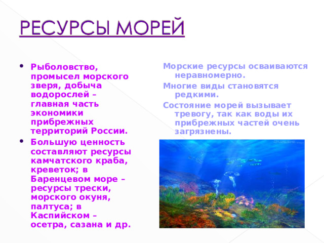 Морские ресурсы осваиваются неравномерно. Многие виды становятся редкими. Состояние морей вызывает тревогу, так как воды их прибрежных частей очень загрязнены.  Рыболовство, промысел морского зверя, добыча водорослей – главная часть экономики прибрежных территорий России. Большую ценность составляют ресурсы камчатского краба, креветок; в Баренцевом море – ресурсы трески, морского окуня, палтуса; в Каспийском – осетра, сазана и др. 6
