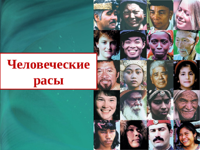 Человеческие расы