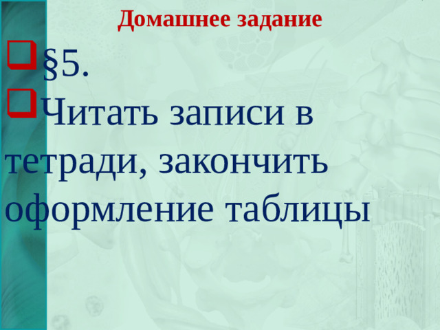 Домашнее задание