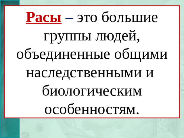 Расы – это большие группы людей, объединенные общими наследственными и биологическим особенностям.
