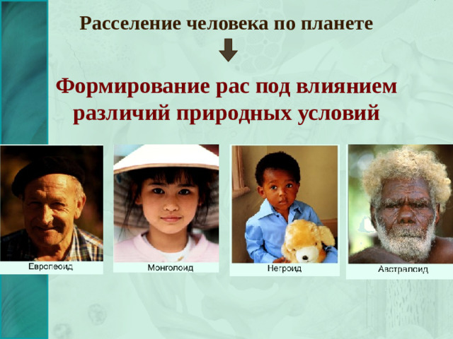 Расселение человека по планете Формирование рас под влиянием различий природных условий
