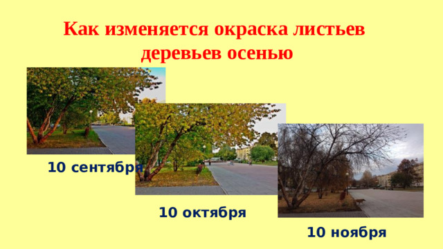 Как изменяется окраска листьев деревьев осенью 10 сентября 10 октября 10 ноября