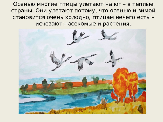 Осенью многие птицы улетают на юг – в теплые страны. Они улетают потому, что осенью и зимой становится очень холодно, птицам нечего есть – исчезают насекомые и растения.