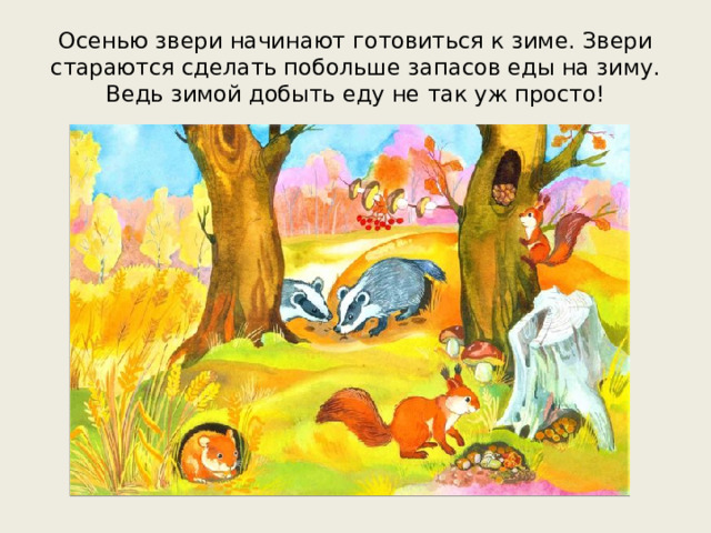 Осенью звери начинают готовиться к зиме. Звери стараются сделать побольше запасов еды на зиму. Ведь зимой добыть еду не так уж просто!
