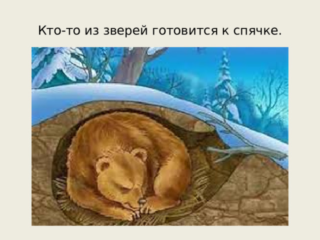 Кто-то из зверей готовится к спячке.