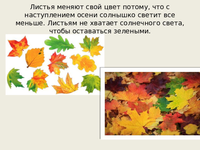 Листья меняют свой цвет потому, что с наступлением осени солнышко светит все меньше. Листьям не хватает солнечного света, чтобы оставаться зелеными.