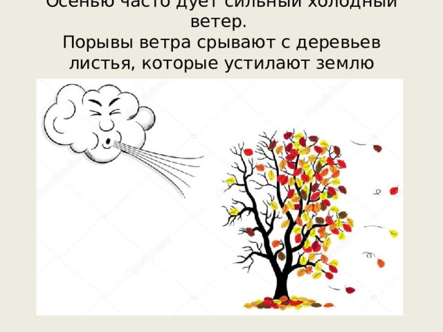 Осенью часто дует сильный холодный ветер.  Порывы ветра срывают с деревьев листья, которые устилают землю пестрым ковром.