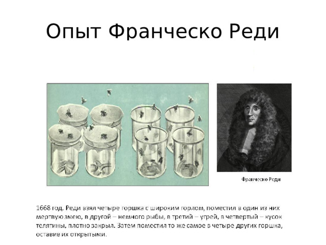 Опыт Франческо Реди