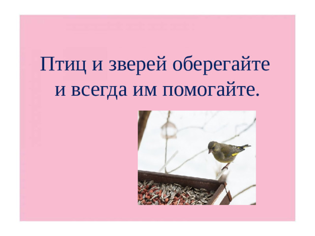 Птиц и зверей  оберегайте  и всегда  им помогайте.