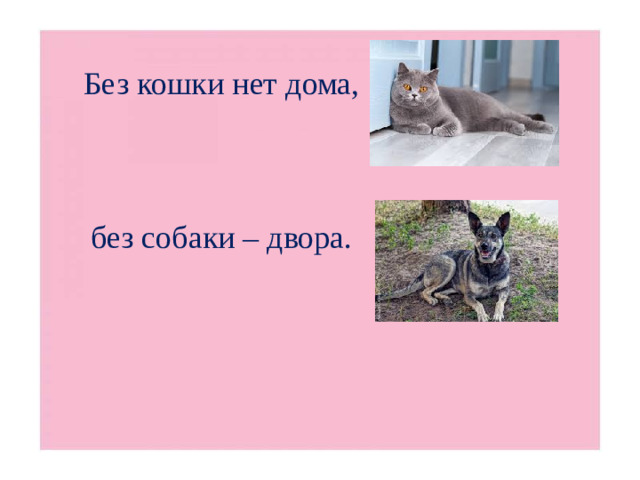 Без кошки нет дома,     без собаки – двора.