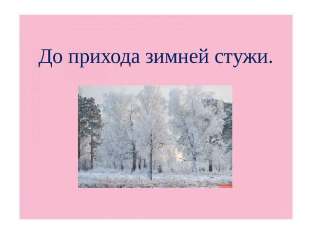 До прихода зимней стужи.